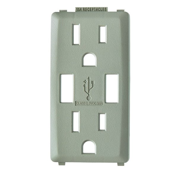 Leviton COMBINATION DEVICE SWITCH WOOD SMOKE RENU USB CHRGER 15A REC FCPLT RKAA1-WS